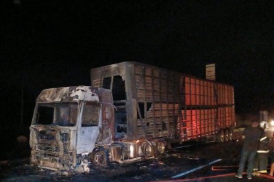 Incêndio aconteceu na altura do distrito de Correia de Almeida, em Barbacena  -  (crédito: CBMMG)
