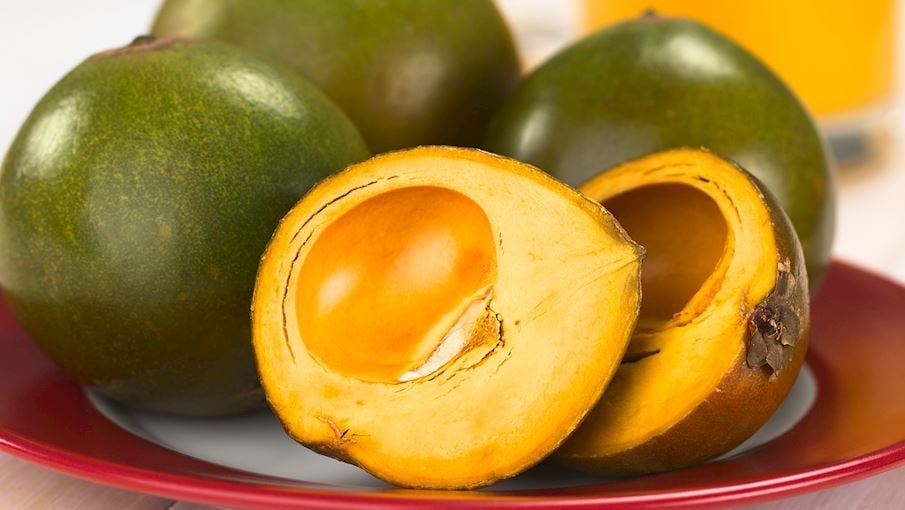 8. Lúcuma: Fruta nativa da região andina da América do Sul, principalmente dos vales do Peru, Chile, Bolívia e Equador. Ela se caracteriza por um alto valor nutricional, pois é rico em cálcio, proteínas, ferro, zinco e beta-caroteno. 