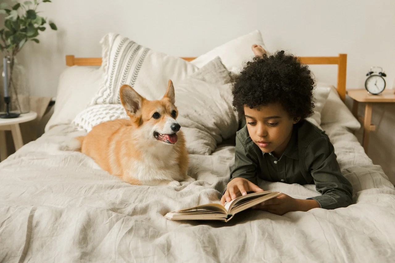 Se forem domesticados de forma correta, os cães podem ser obedientes e trazer segurança para quem tem filho pequeno em casa.