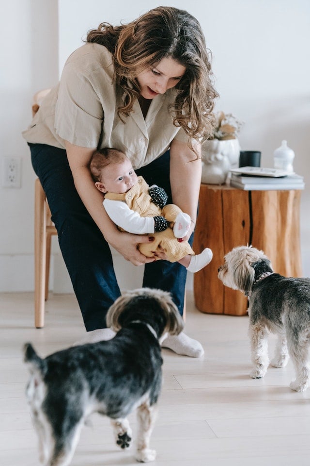 Mas nem toda raça é aconselhada para quem tem criança em casa. É preciso pesquisar bem antes de colocar um cãozinho ao lado do seu filho, e até para não ser surpreendido. Alguns cães pequenos, por exemplo, podem passar a sensação de fofurice, mas podem dar muito trabalho.