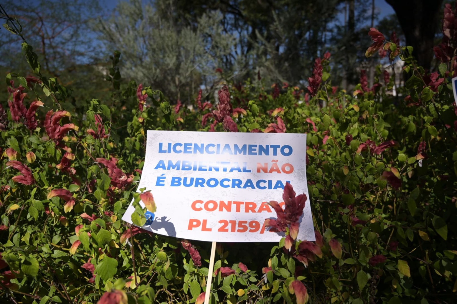 Ativistas temem flexibilização do licenciamento ambiental com o 'PL da Devastação'-Leandro Couri/EM/D.A Press