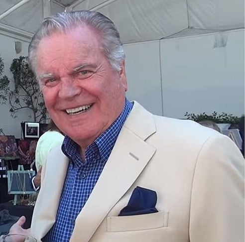 Robert está afastado de cinema e TV desde que fez uma ponta no sitcom "Hot in Cleveland", em 2014. 