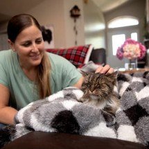 Gata que sobreviveu a uma queda de 120 metros terá novo lar - Reprodução/Best Friends Animal Society