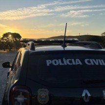 Funcionário de pet shop é indiciado por agredir cadela, que morreu - PCMG