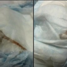 Mãe encontra rato morto na fralda do filho recém-nascido