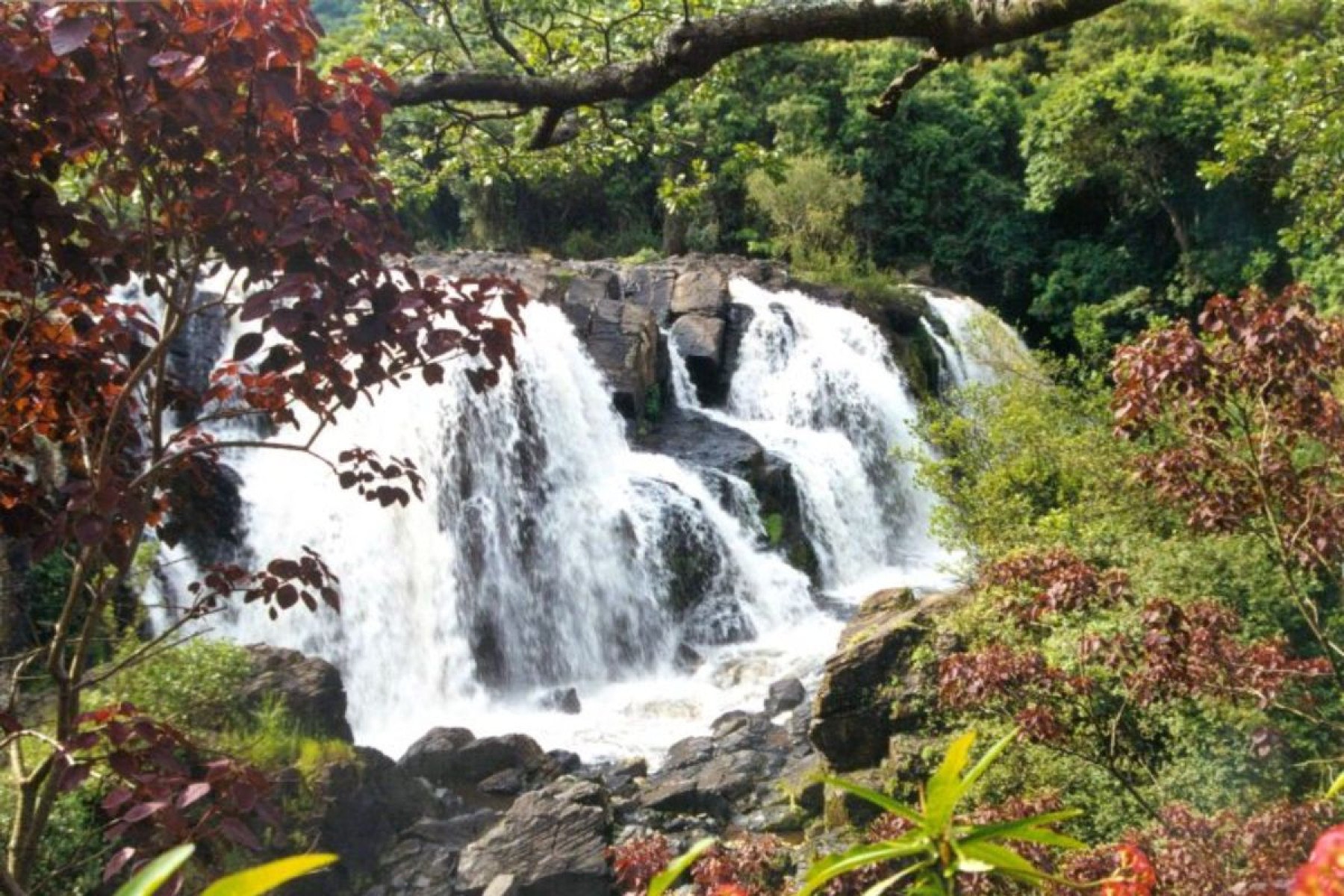  Poços de Caldas-Divulgação Prefeitura de Poços de Caldas