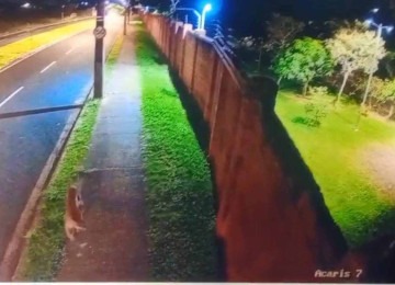 Equipes do Corpo de Bombeiros e vigilantes do condomínio realizaram buscas na área -  (crédito: Reprodução/CBMMG)