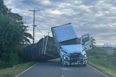 Acidente fez com que mais de 30 toneladas de caixas contendo colmeias fossem lançadas à margem da estrada -  (crédito: Gabinete do Xerife do Condado de Whatcom)