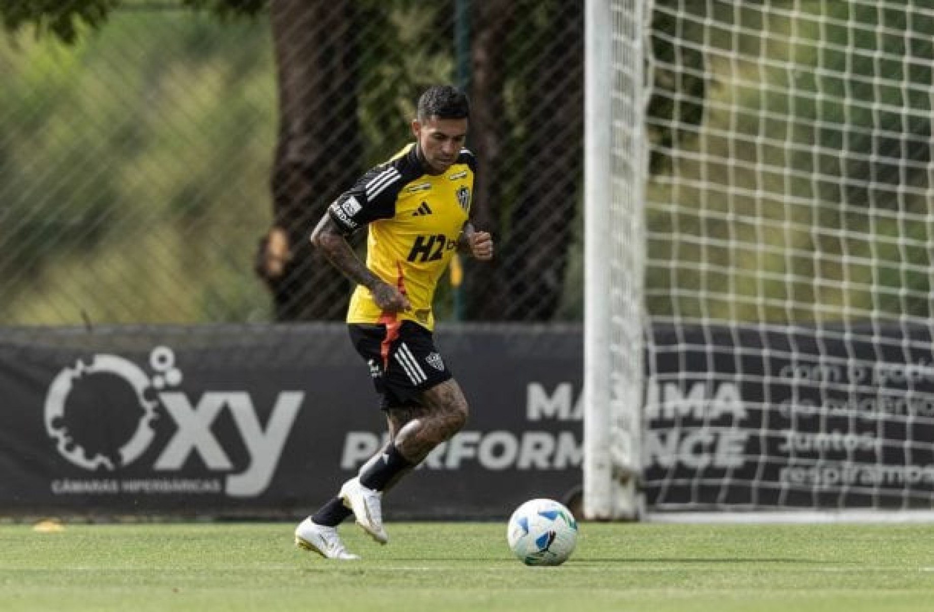 Dudu surge no BID e já pode estrear pelo Atlético-MG