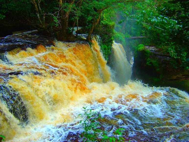 Presidente Figueiredo é um município localizado em Manaus, no estado do Amazonas. O local ficou conhecido como a "Terra das Cachoeiras" devido à abundância de quedas d'água na região.