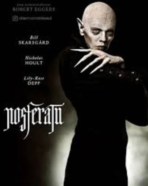Nos últimos anos, Hoult tem se envolvido em projetos de grande expectativa. Um dos maiores destaques  é "Nosferatu", um remake do clássico do terror gótico de 1922, dirigido por Robert Eggers. O filme estreou nos cinemas brasileiros em 2 de janeiro de 2025. 