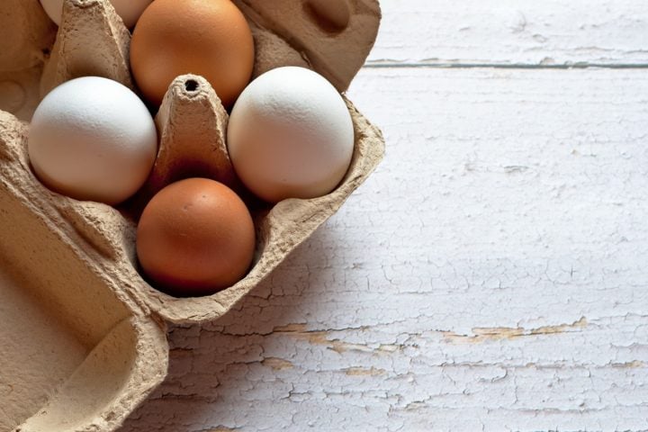 No entanto, comer tanta proteÃ­na assim, para uma pessoa comum e que nem malha tanto assim, nÃ£o Ã© uma recomendaÃ§Ã£o saudÃ¡vel. Isso porque 40 ovos dÃ£o 8.000 miligramas de colesterol extra ao dia. Esse hÃ¡bito pode sobrecarregar os rins.