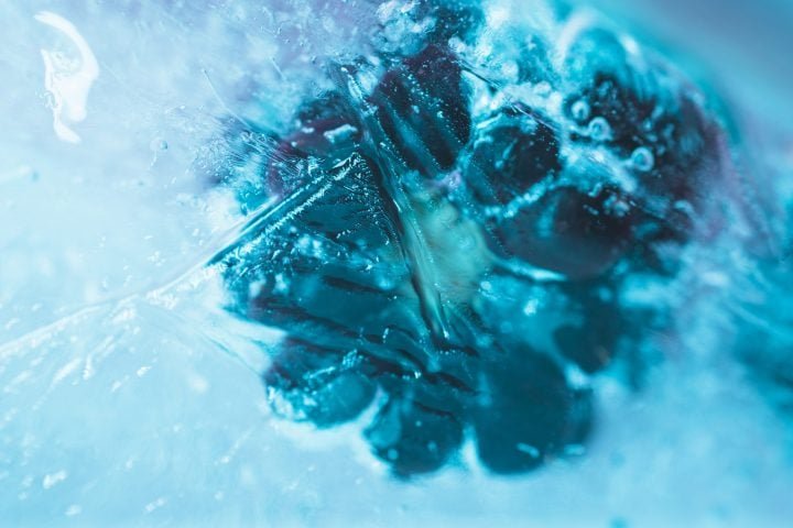 A criogenia consiste em preservar corpos em temperaturas extremamente baixas usando nitrogênio líquido, interrompendo a decomposição e mantendo células e tecidos intactos.