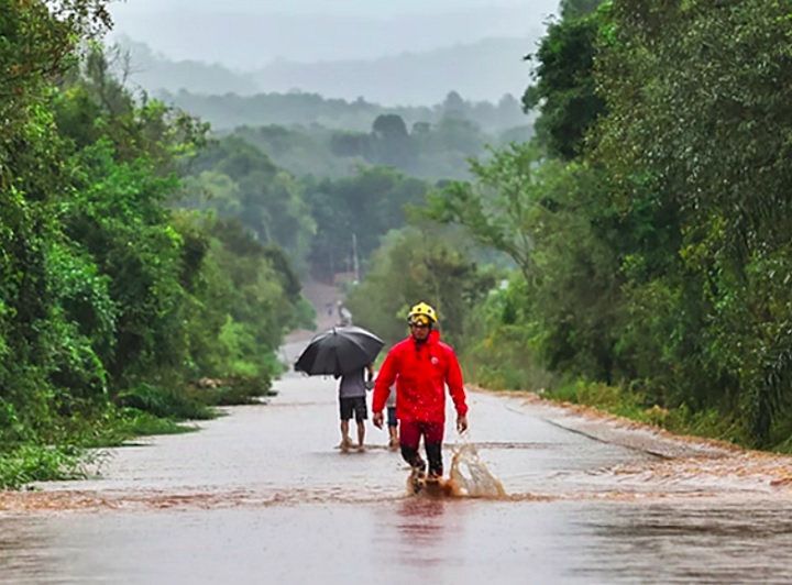 "Enquanto fator de estresse ambiental, as alterações climáticas têm o diferencial de serem uma ameaça real em curso e em desenvolvimento", disse ela.