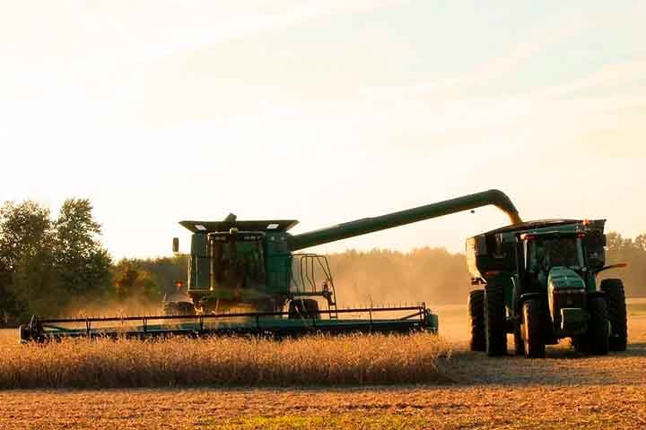 Segundo dados de 2025 do ComexStat e levantamentos do Insper Agro Global, o paÃ­s estÃ¡ entre os maiores exportadores do mundo em diversas categorias. A seguir, os produtos lÃ­deres, com valores exportados e a importÃ¢ncia de cada um.