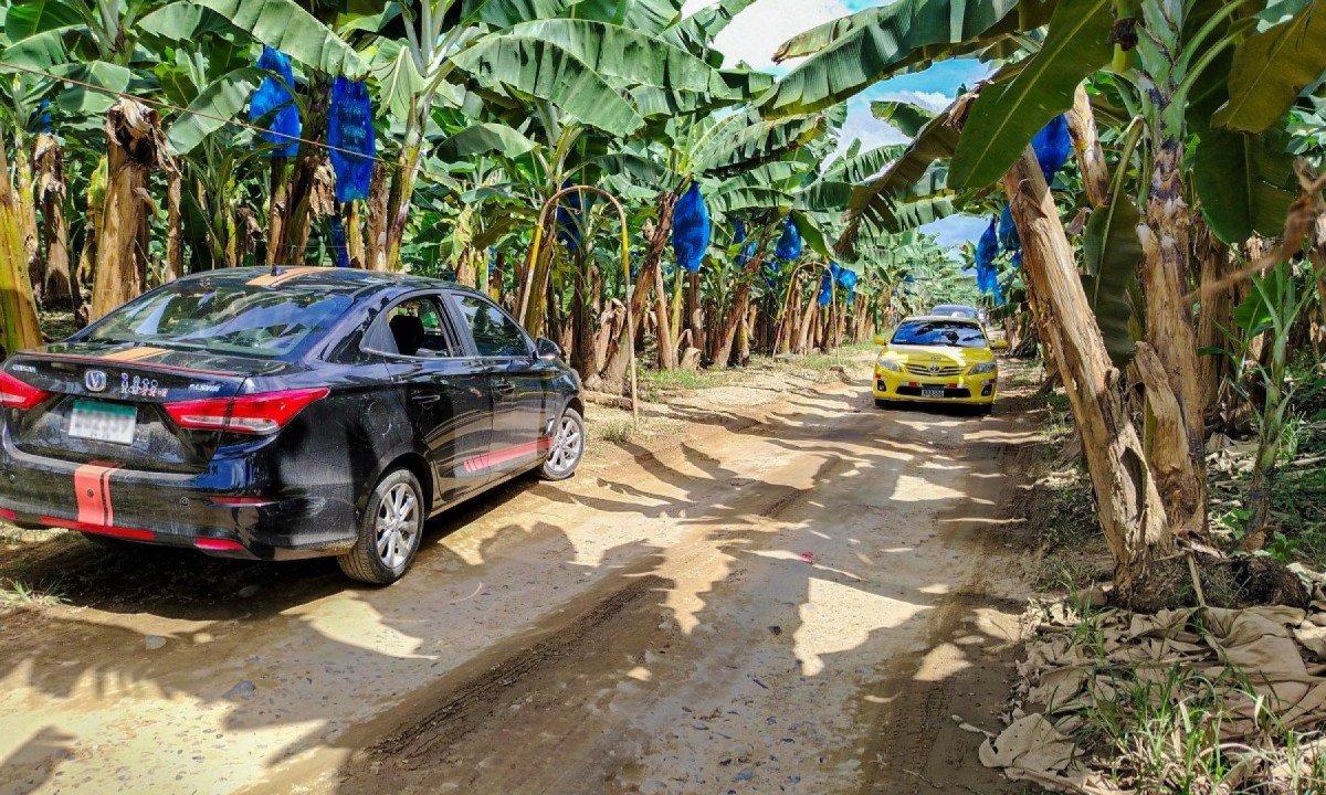 Veículos passam por plantações de banana de uma subsidiária da Chiquita Brands, empresa americana de banana no Panamá