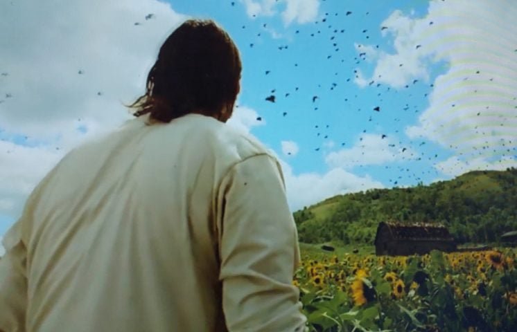 Os corvos ganharam fama também na cultura pop. Em filmes como "O Corvo" (1994) e "Os Mensageiros" (2007), os corvos assumem o papel de mensageiros da morte, prenúncios de eventos trágicos ou até mesmo representantes do mal.