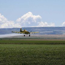 Empresa participa da Bahia Farm Show 2025 - DINO