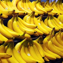 Empresa de bananas dos EUA demitirá restante de seu pessoal em meio a protestos no Panamá - Steve Hopson/Wikimedia commons