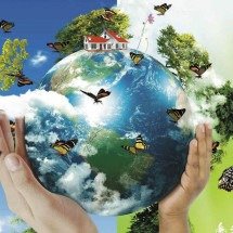 Dia Mundial do Meio Ambiente é comemorado em 5 de junho - DINO