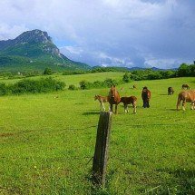 Força do Brasil no mercado internacional: veja as exportações que mais renderam - Zarateman/Wikimedia Commons