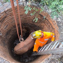 Cavalo cai em fossa de 4 metros de profundidade e é resgatado por bombeiros - Divulgação / Corpo de Bombeiros