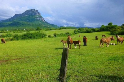 O Brasil ocupa posições de destaque no mercado internacional em diversas commodities, especialmente no setor agropecuário.  -  (crédito: Zarateman/Wikimedia Commons)