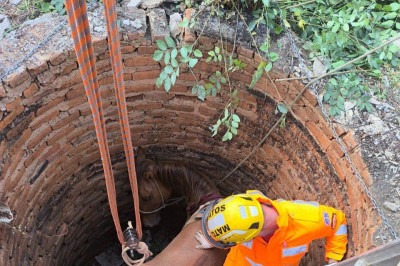 O local foi isolado para evitar novos acidentes e o dono do terreno foi orientado a fechar completamente a fossa -  (crédito: Divulgação / Corpo de Bombeiros)