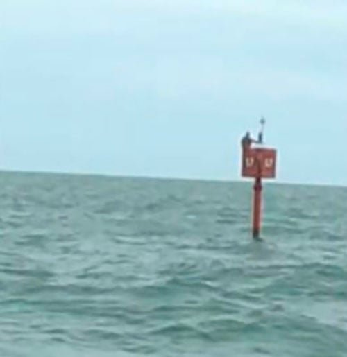 Ela leva em conta a saúde da população de peixes, assim como o impacto ambiental e uma gestão eficaz de tal atividade. Existem, portanto, determinados fatores ecológicos que naturalmente influenciam na quantidade de pesca disponível para consumo.