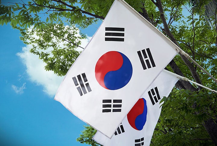 Denominada Hallyu (“tendência ou corrente coreana”, em livre tradução), a onda reflete a influência e popularização da cultura do país asiático. 