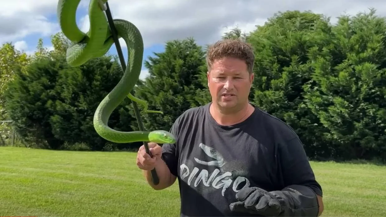 Mexendo com o perigo: Mamba-verde ataca e mata YouTuber que fazia vídeos com cobras venenosas