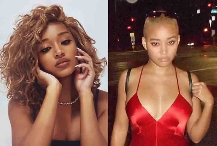 Amandla Stenberg- Aos 18 anos ela raspou a cabeça para viver Leyna, uma garota que vivia na Alemanha nazista e era cobaia de pesquisa sobre crianças birraciais, no filme "Amor em tempos de Ódio"(2019).