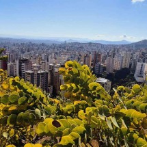 Vista da capital mineira: temperaturas amenas, típicas da estação, vão marcar o fim de semana na cidade, com mínima de 15°C

 -  (crédito: Jair Amaral/EM/D.A Press – 23/5/25)