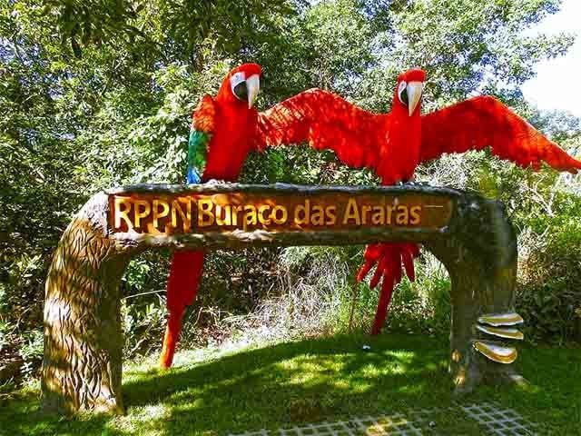 As visitas sÃ£o controladas e realizadas com acompanhamento de guias treinados. 