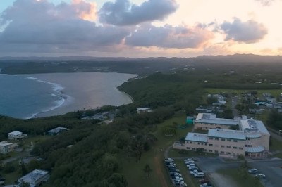 A ilha de Guam, um território dos Estados Unidos no Oceano Pacífico, tem sofrido com uma das piores infestações de cobras do mundo. O problema não é novo, mas está se agravando.  -  (crédito: reprodução/youtube)