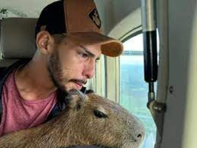Ele ganhou fama nacional em 2023, após o Ibama apreender o animal.