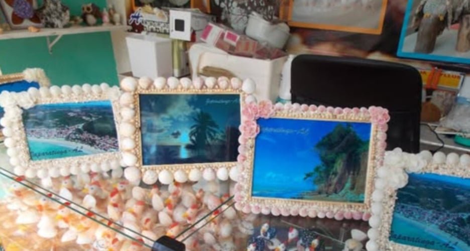 Conchas - Alagoas - As conchas sÃ£o usadas principalmente para a confecÃ§Ã£o de peÃ§as decorativas e adornos de acessÃ³rios. Esse trabalho estÃ¡ intimamente ligado ao mar, e as conchas sÃ£o extraÃ­das das praias e transformadas com cuidados especiais pelos artesÃ£os locais.