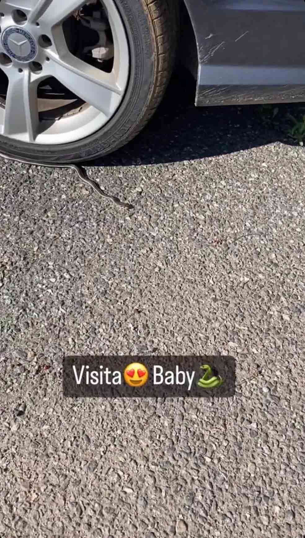 A atriz Ludmila Dayer encontrou uma cobra no pneu do carro, em Los Angeles (EUA). E fez um registro para os stories. "Visita, baby", disse ela.