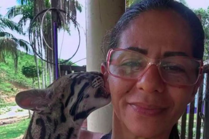 Outro exemplo recente foi o da jaguatirica Pituca, apreendida da influenciadora Luciene Cândido (Luh da Roça), que tem quase 500 mil seguidores no Facebook.