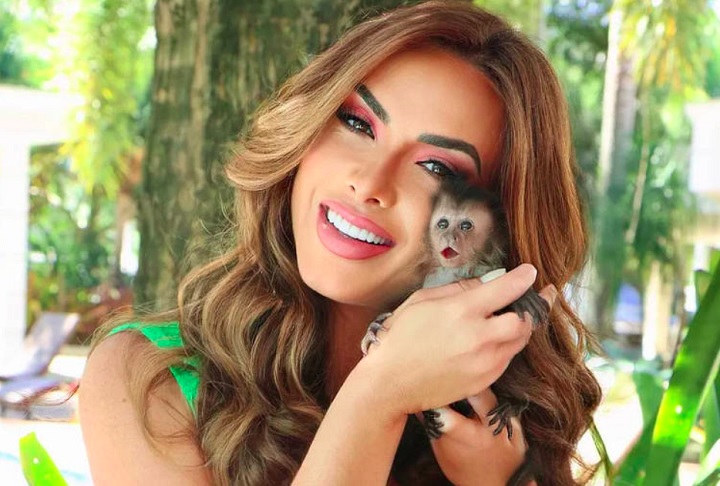 Descobriu-se que os documentos dos animais eram falsos, e o caso levou a uma operação contra o tráfico de animais no Rio de Janeiro.