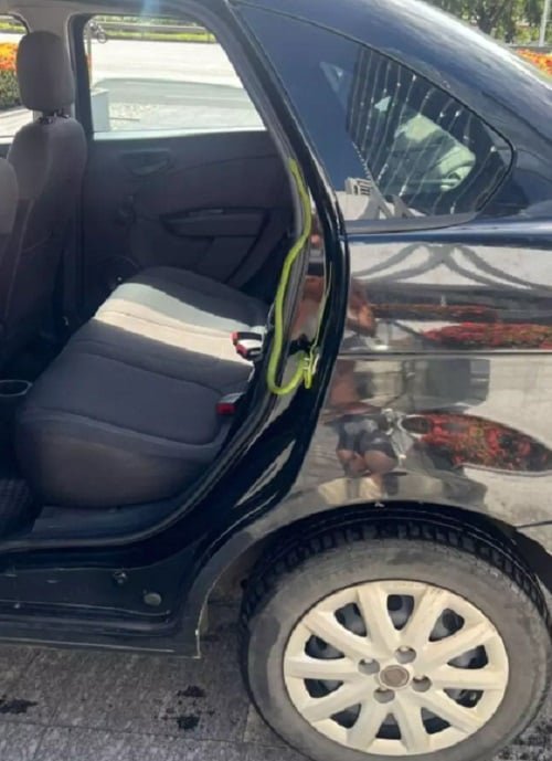 "Ainda estou em choque, sabia? Vi que ela é verde e veio com a cabeça pra cima de mim. Abri (a porta) e sai correndo, caí do carro, machuquei minha perna. Que loucura".