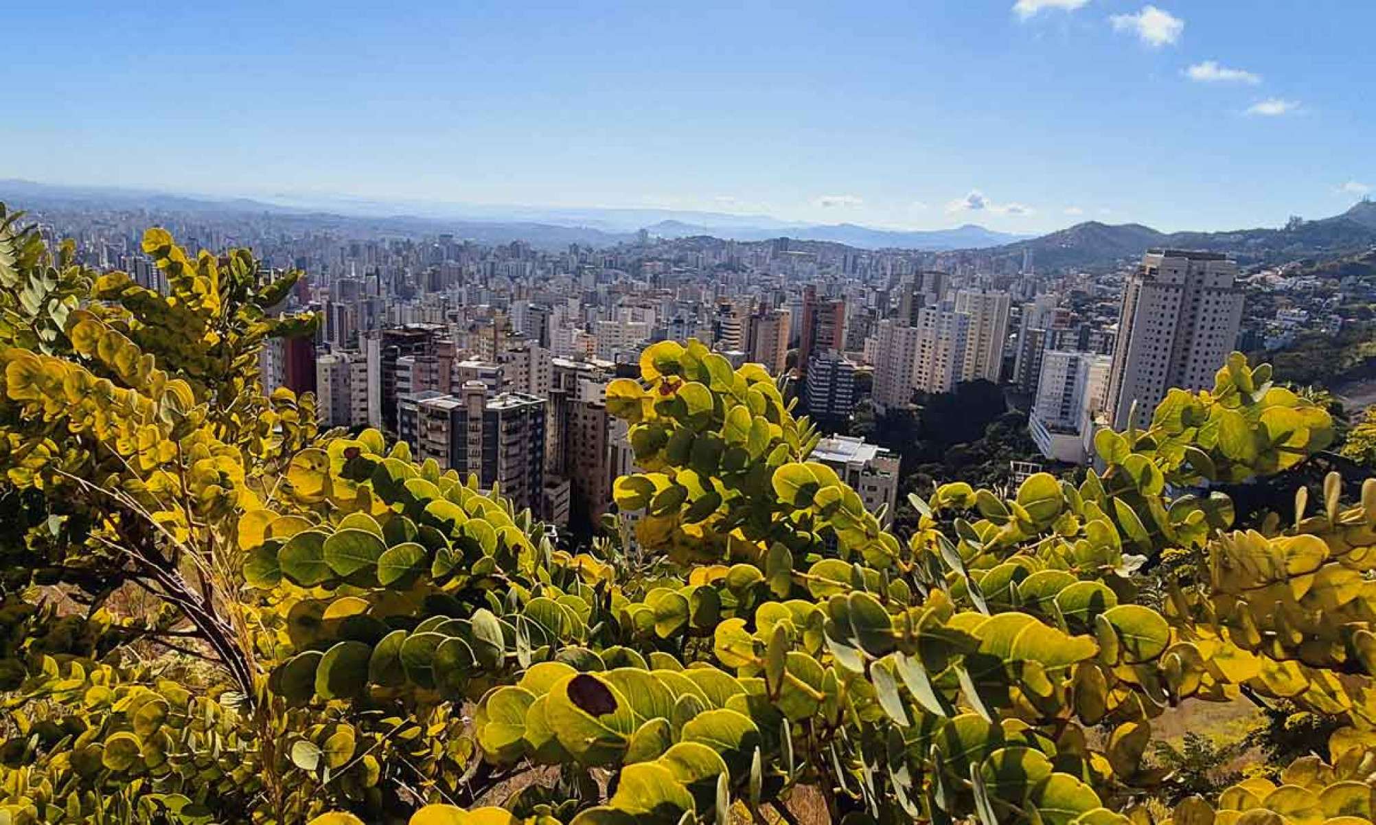 Frente fria vai derrubar termômetros em Minas