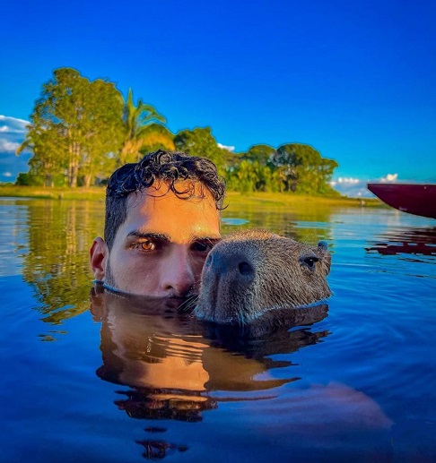 Um estudo científico publicado na revista Biological Conservation em 2023 analisou 400 vídeos de animais silvestres no YouTube de 39 países que, juntos, somavam 1 bilhão de visualizações. 