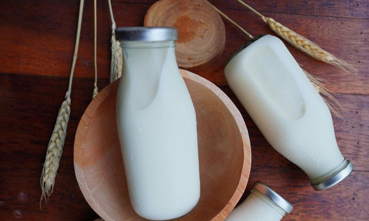  intolerância à lactose e doença celíaca 