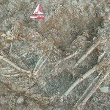Arqueólogos descobrem que humanos já usavam ‘piercing’ na Pré-História -  Reprodução Antiquity