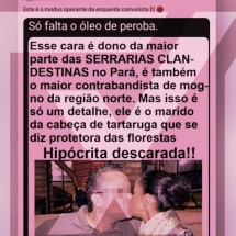 É boato: não há provas de que marido de Marina Silva contrabandeia madeira