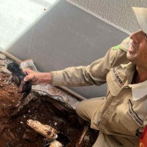 Cãozinho fica preso em cano ao percorrer 10 mts em tubo de 100 milímetros  - Corpo de Bombeiros de Aparecida de Goi&acirc;nia