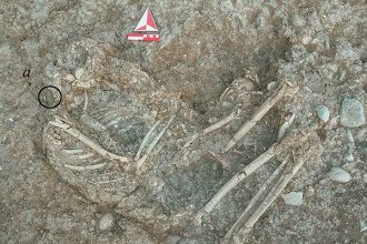 Arqueólogos descobrem que humanos já usavam ‘piercing’ na Pré-História