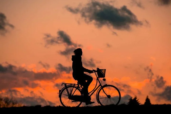 3 de junho é Dia Mundial da Bicicleta. Um meio de transporte sustentável e ível. Afinal, pedalar é um exercício saudável e uma forma de transporte limpa e prática, cultivada em muitos países desenvolvidos.  -  (crédito: renategranade pixabay )
