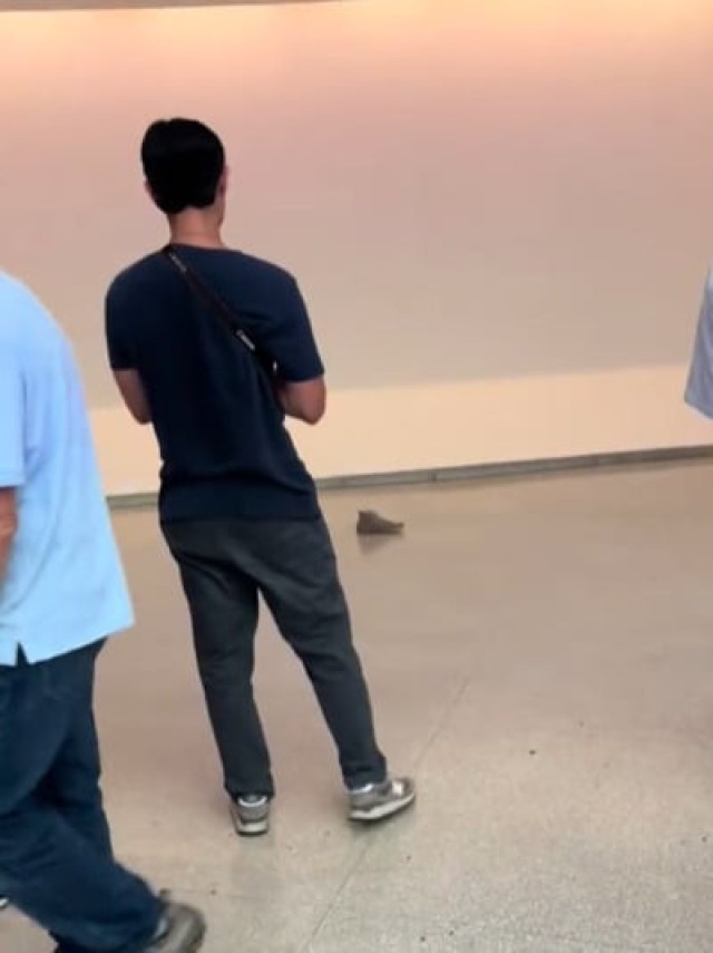 Soube dessa? Homem põe o próprio tênis no chão de museu e visitantes contemplam a 'obra de arte'